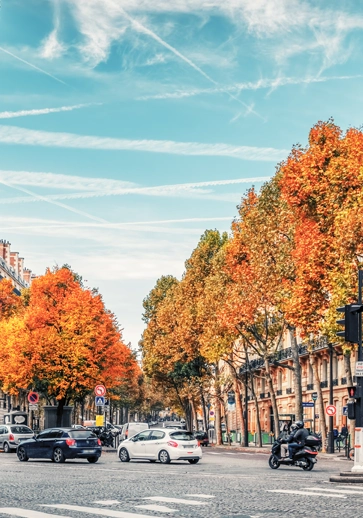 Nature dans l’espace urbain